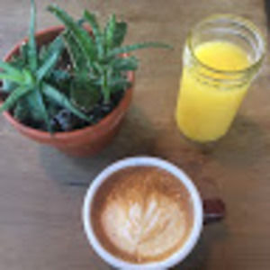 Meet your Posher, Gillian